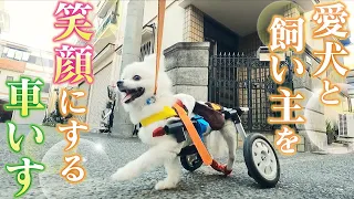 【もう一度自分の脚で歩いてほしい】愛犬と飼い主を笑顔にする“車いす”　8年間で3000台以上を作った夫婦の思い【大阪】