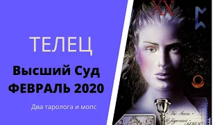 Телец. Высший суд. Февраль 2020