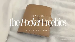 POCKET PLANNER made from FREEBIES !!  // & new freebies!