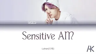 Luhan (鹿晗) - 'Sensitive AM' (Color-Coded Lyrics Kan/Pin/Eng)