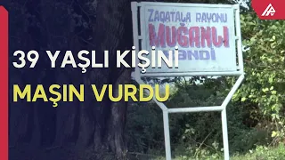 Zaqatalada sürücü yolu keçən piyadanı vurdu – APA TV