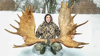 How To Find BIG MOOSE SHEDS Feat. ANJO BONANNO