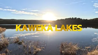 KAWEKA LAKES - BROWN TROUT HEAVEN | FLY FISHING NEW ZEALAND | AARON TROUT FISHING
