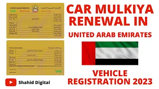 Car Mulkiya Renewal In UAE | Vehicle Registration 2023 | EVG Vehicle Renewal #uae #vehicles #mulkiya