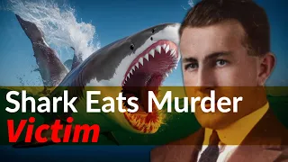 A Murder Mystery Unveiled by a Shark