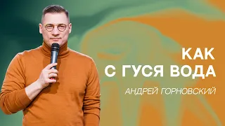 07 мая 2022. Пастор Андрей Горновский "Как с гуся вода"