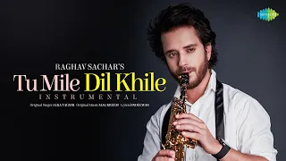 Tu Mile Dil Khile - Instrumental | Raghav Sachar | Criminal | Instrumental Music