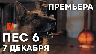 🔥 Сериал ПЕС 6 сезон - 1 СЕРИЯ - 7 декабря - ПРЕМЬЕРА | СЕРИАЛЫ ICTV