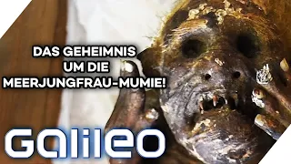 Gefangen vor 300 Jahren: Das Geheimnis der Meerjungfrau-Mumie? | Galileo | ProSieben