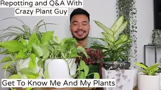 Repotting Houseplants and Q&A With Crazy Plant Guy