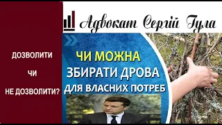 Збирання дрів у лісі 2022 -  Зеленський забанить?