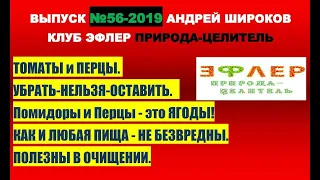 ВРЕД ПАСЛЁНОВЫХ. ПОМИДОРЫ и ПЕРЦЫ под УДАРОМ НАТУРОПАТОВ. ТОМАТЫ и ПЕРЦЫ. УБРАТЬ-НЕЛЬЗЯ-ОСТАВИТЬ.