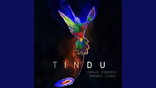 Tindu (Minuk Rework)