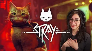 The Cutest Game I’ve Ever Played | Stray - Part 1