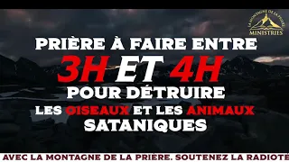 Prière à faire entre 3H-4H pour détruire les oiseaux et les animaux sataniques - Samuel PANZU