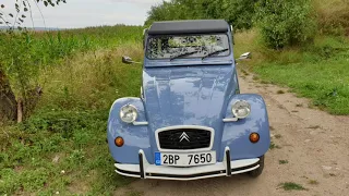 Citroën 2CV - summer drive