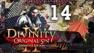 Divinity: Original Sin 2 - Definitive Edition Прохождение #14: Паладин Корк