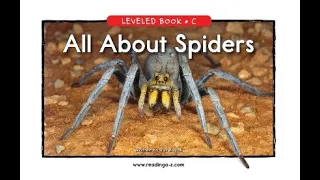 All About Spiders Audio
