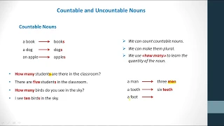 Countable and Uncountable Nouns - Sayılabilen ve Sayılamayan İsimler (Alıştırmalı)