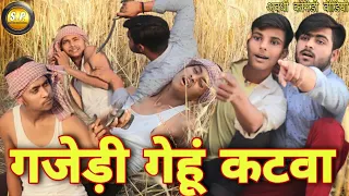 गजेडी गेहूं कटवा 😁|| Awadhi comedy videos || santosh Pratapgarhiya