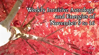 Weekly Intuitive Astrology and Energies of Nov 9 to 16 ~ Scorpio Rebirthing Process Underway