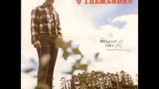 Vem Quente Que Eu Estou Fervendo - Erasmo Carlos (Lp Mono 1967)