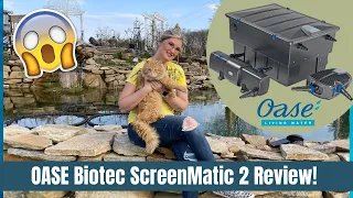 OASE Biotec 18000 ScreenMatic 2 REVIEW! | BEFORE & AFTER!
