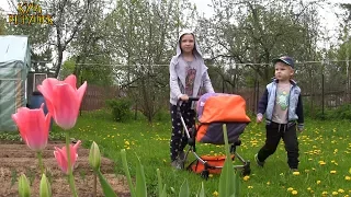 ☔🌷👶Прогулка с Беби Бонами в деревне у бабушки. Видео для детей