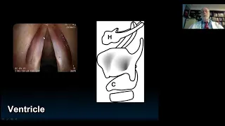 Imaging of the Larynx Part 1| Health4TheWorld Academy