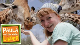 Was reimt sich auf Giraffe? | Tierische Kinderlieder | Paula und die wilden Lieder