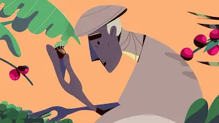 The Story of Coffee | History of Coffee | Motionlab