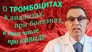 О тромбоцитах в анализах, при болезнях, в том числе при ковиде. Видеобеседа для ВСЕХ и для врачей.