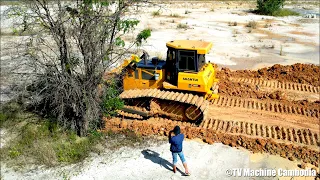 Great Operator Skills Stronger Shantui Dozer Forest Cutting Slope & Spreading Soil