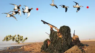 Duck Hunting in Pakistan | Ghillie Suits | Murghabi ka Shikar