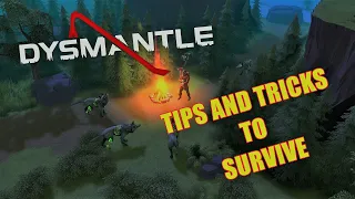 Dysmantle useful tips for begginers to survive!