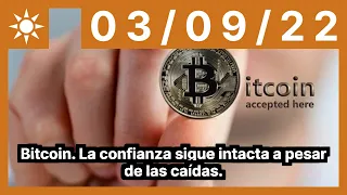 Bitcoin. La confianza sigue intacta a pesar de las caídas.