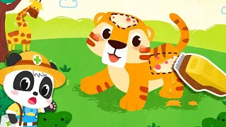 Little Panda Rescue Animals | Drive the Truck | Clean up & Learn about Animals | BabyBus Games Video