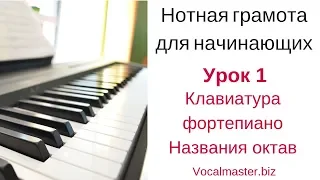 Нотная грамота для начинающих. Урок 1