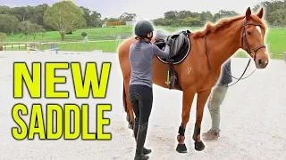 TACK HAUL | New jumping saddle!