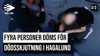 FYRA PERSONER DÖMS FÖR DÖDSSKJUTNING I HAGALUND | DEL 3/3