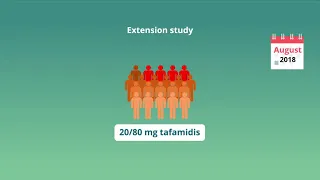 Effect of Tafamidis Doses in Transthyretin Amyloid Cardiomyopathy