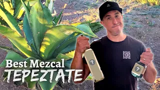 Best Mezcal - Tepeztate Edition