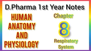 Chapter-8/Respiratory System/D.Phaa 1st Year Notes #dpharma #humananatomyandphysiology