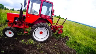 Трактор Т-25 с плугом Wirax. Пашем поле вокруг картошки заросшее травой.