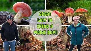 Mushroom Foraging In Maine | Local Mushroom Course | Off The Beaten Path Things To Do In Maine!