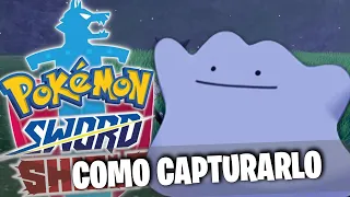 como CAPTURAR a DITTO en POKEMON ESPADA Y ESCUDO