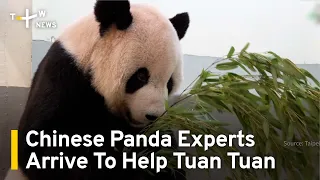 Chinese Panda Experts Arrive in Taiwan To Help Taipei Zoo's Ailing Tuan Tuan | TaiwanPlus News