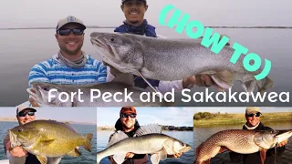How to Get Started-  Fort Peck & Sakakawea (walleye, lake trout, smallmouth bass, northern pike)