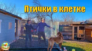 #340 Выгул для кур на скорую руку. Купили бойлер в душ / Переезд из Москвы на хутор