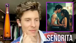 Did Shawn Mendes Reference “Señorita” In “Summer of Love” On Purpose??